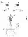 Fig. 03 - Interactive event cast to multiple mobile devices
