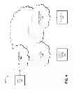 Fig. 09 - Managing resource access in distributed computing environments
