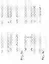 Fig. 08 - Fast deskew when exiting low-power partial-width high speed link state