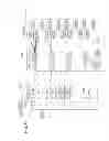 Fig. 09 - Information processing device, method for controlling information processing device