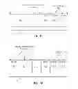 Fig. 09 - Instruction and logic for boyer-moore search of text strings