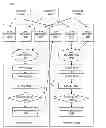 Fig. 01 - Cross-pipe serialization for multi-pipeline processor