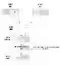 Fig. 01 - Systems, apparatuses, and methods for performing rotate and XOR in response to a single instruction