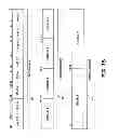 Fig. 07 - Instruction and logic for optimization level aware branch prediction