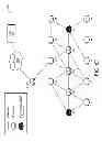 Fig. 12 - Reduced authentication times in constrained computer networks