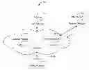 Fig. 01 - System and method of failover for an initiated SIP session