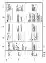 Fig. 04 - Testing mobile applications