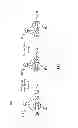 Fig. 08 - Compressing tree diagrams