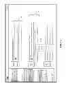 Fig. 08 - Audience platform