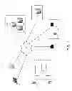 Fig. 02 - Integrated experience for applications within a mobile application