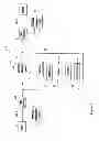 Fig. 02 - ALARM CLUSTERING MECHANISM