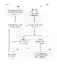 Fig. 01 - Using trusted devices to augment location-based account protection