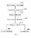Fig. 06 - Avoidance of hostile attacks in a network