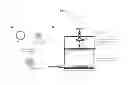 Fig. 02 - METHOD FOR THE DELIVERY OF MOLECULES LYOPHILIZED ONTO MICROPARTICLES TO PLANT TISSUES