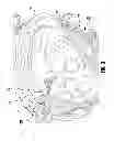 Fig. 07 - Helmet retention system
