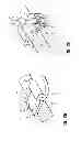 Fig. 04 - Clip assembly for use holding sinuous springs