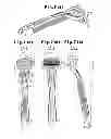 Fig. 08 - Pivoting razor