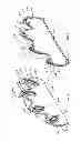 Fig. 09 - LIGHTED CHILD'S SNOWSHOE