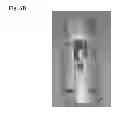 Fig. 09 - COMPOSITIONS AND METHODS FOR LEACH EXTRACTION OF MICROORGANISMS