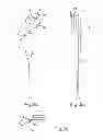 Fig. 04 - Device and method for weed control