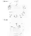 Fig. 15 - Air cleaner arrangements; components; and, methods