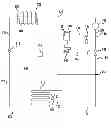 Fig. 01 - System Using Refrigeration System Waste Heat