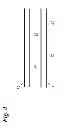 Fig. 05 - Humidity collector apparatus