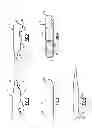 Fig. 02 - Finger Jewelry Article