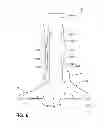 Fig. 07 - Laundry treating appliance impeller