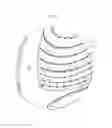 Fig. 15 - Washing machine having a plurality of concentrically formed recessed portions on the tub