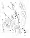 Fig. 06 - Stretching device