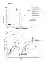 Fig. 03 - System and method for rapid measurement of the air void distribution of fresh concrete