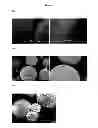 Fig. 04 - Porous materials for solid phase extraction and chromatography and processes for preparation and use thereof