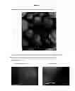 Fig. 05 - Porous materials for solid phase extraction and chromatography and processes for preparation and use thereof