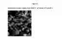 Fig. 06 - Porous materials for solid phase extraction and chromatography and processes for preparation and use thereof
