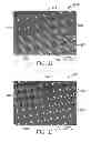 Fig. 08 - Systems and methods for detecting an analyte of interest in a sample using microstructured surfaces