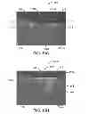 Fig. 13 - Systems and methods for detecting an analyte of interest in a sample using microstructured surfaces