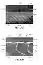 Fig. 17 - Systems and methods for detecting an analyte of interest in a sample using microstructured surfaces