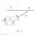 Fig. 06 - Exerciser System for Animals