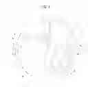 Fig. 02 - Absorbent article for pet