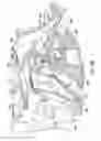 Fig. 10 - Intake air control system for multi-cylinder combustion engine