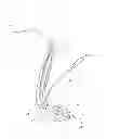 Fig. 01 - Reversible airway device and related method for ventilating a subject
