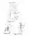 Fig. 14 - Supplemental gas delivery device for mask assembly