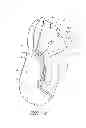 Fig. 05 - Interface comprising a rolling nasal bridge portion