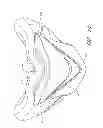 Fig. 20 - Interface comprising a rolling nasal bridge portion
