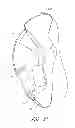 Fig. 28 - Interface comprising a rolling nasal bridge portion