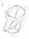 Fig. 62 - Interface comprising a rolling nasal bridge portion