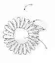 Fig. 01 - Hair Ties