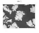 Fig. 05 - Apparatus for manufacturing compound powder, method of manufacturing iron-boron compound powder by using the apparatus, boron alloy powder mixture, method of manufacturing the boron alloy powder mixture, combined powder structure, method of manufacturing the combined powder structure, steel pipe, and method of manufacturing the steel pipe
