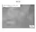 Fig. 22 - Apparatus for manufacturing compound powder, method of manufacturing iron-boron compound powder by using the apparatus, boron alloy powder mixture, method of manufacturing the boron alloy powder mixture, combined powder structure, method of manufacturing the combined powder structure, steel pipe, and method of manufacturing the steel pipe